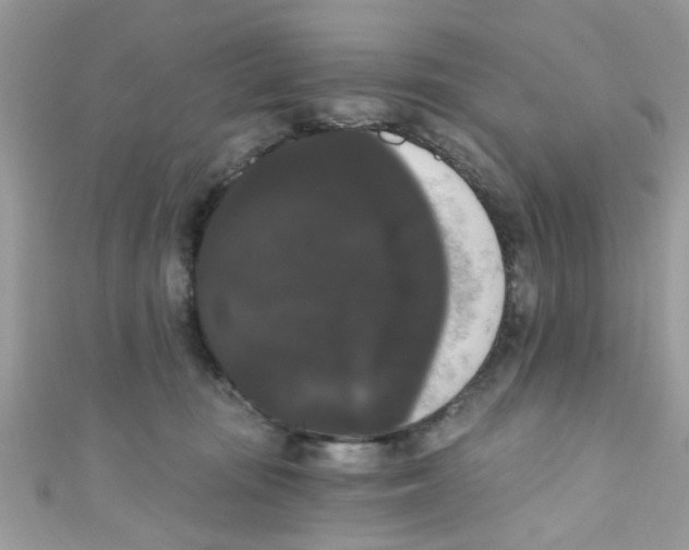 X0000111020371200907171900