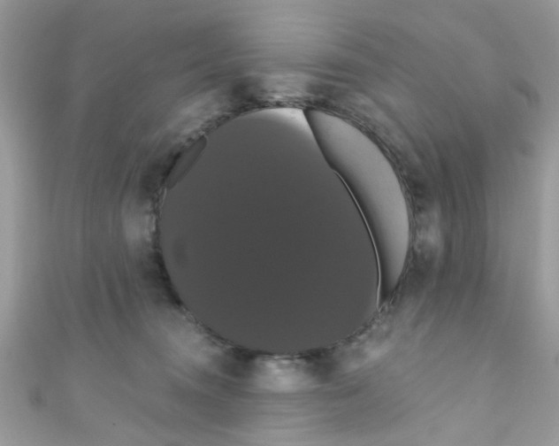 X0000111020372200907171900