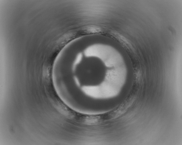 X0000111020373200907171900