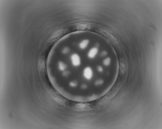 X0000111020375200907171900
