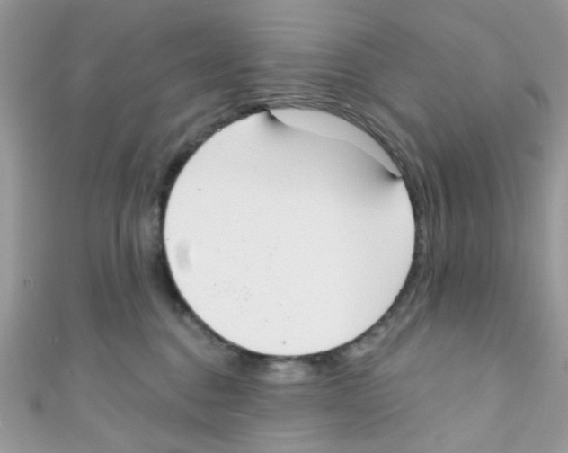 X0000111020376200907171900