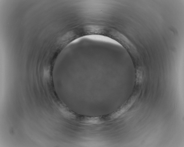 X0000111020377200907171900