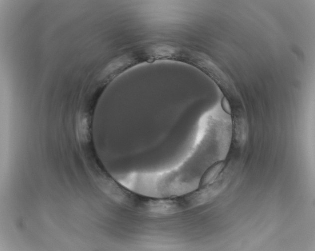 X0000111020378200907171900