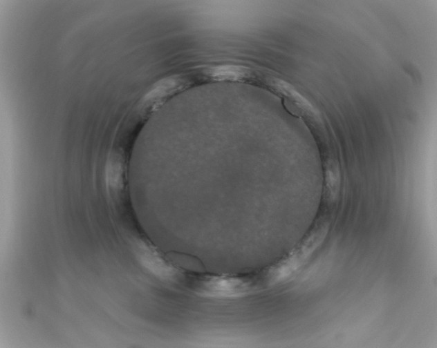 X0000111020379200907171900