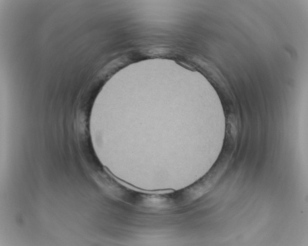 X0000111020380200907171900