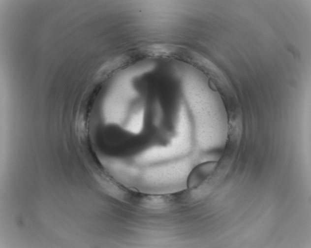 X0000111020381200907171900