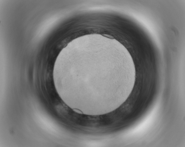 X0000111020382200907171900
