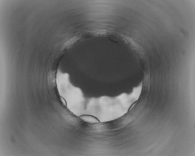 X0000111020383200907171900