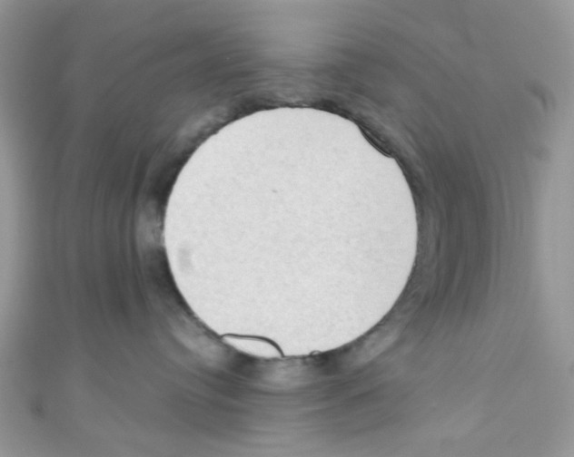 X0000111020384200907171900