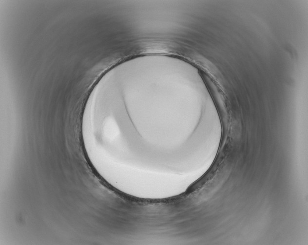 X0000111020385200907171859