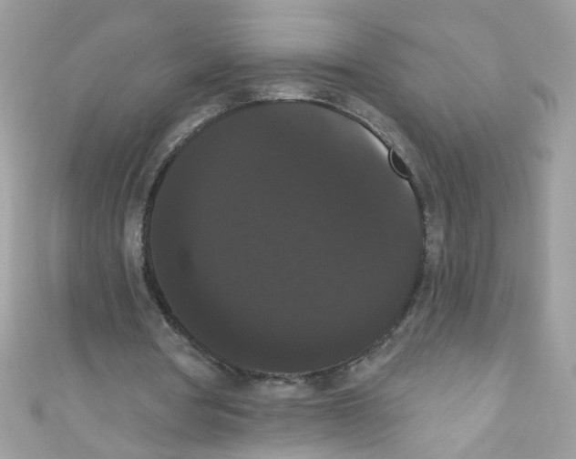 X0000111020386200907171859