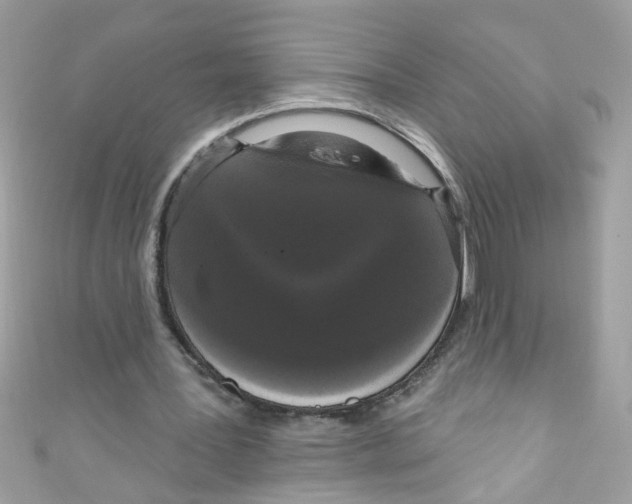 X0000111020387200907171859