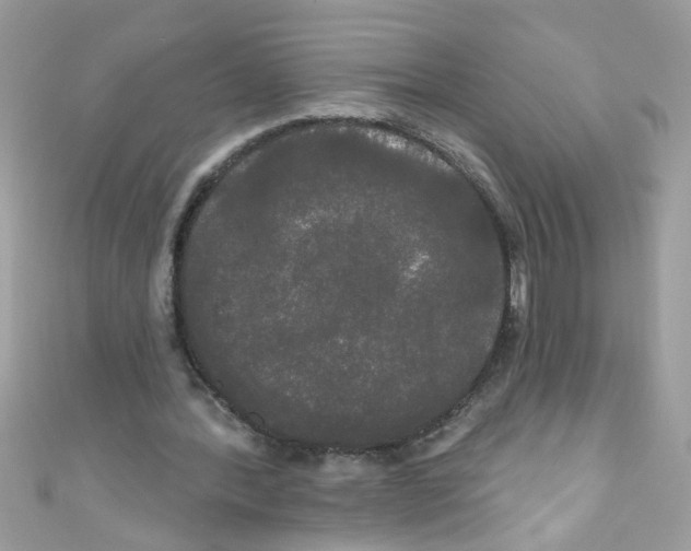 X0000111020388200907171859