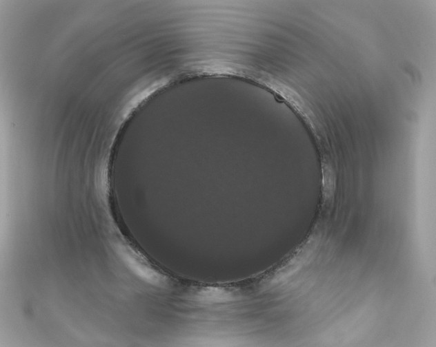 X0000111020390200907171859