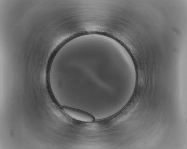 X0000111020391200907171859