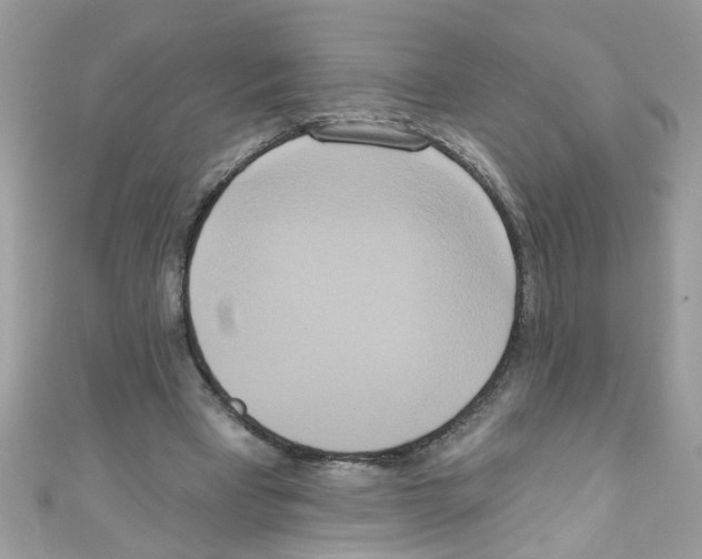 X0000111020393200907171859