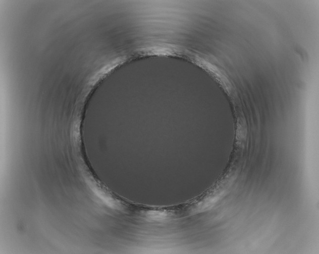 X0000111020394200907171859