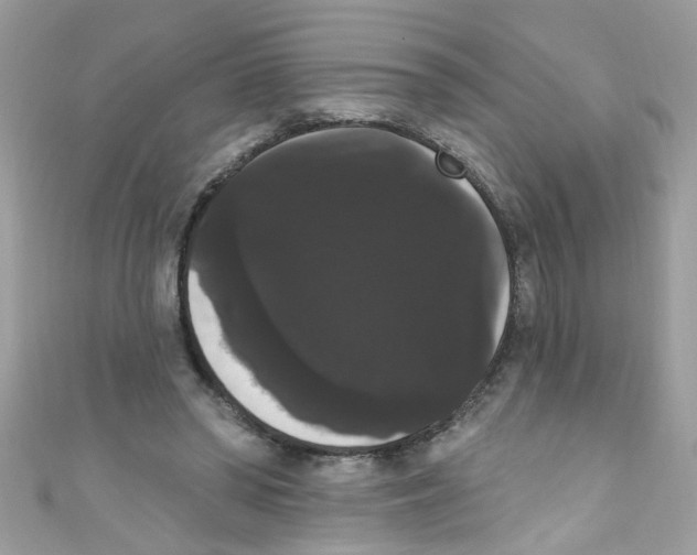 X0000111020398200907171859