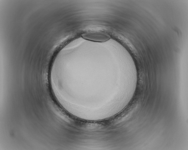 X0000111020399200907171859