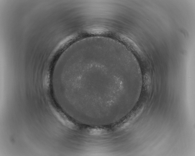 X0000111020400200907171859