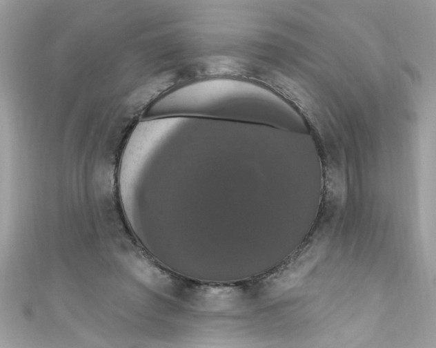 X0000111020401200907171859