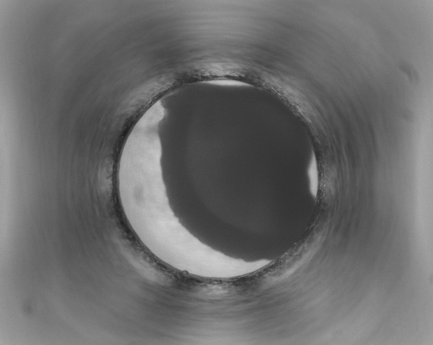 X0000111020402200907171859