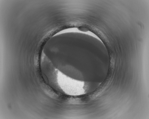 X0000111020403200907171859