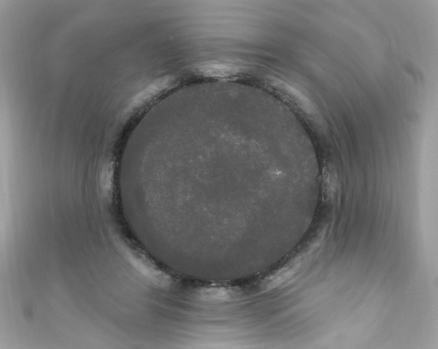 X0000111020404200907171859