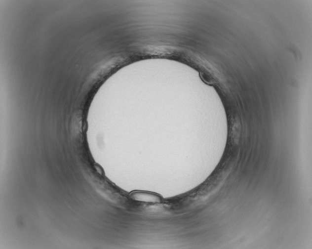 X0000111020407200907171859