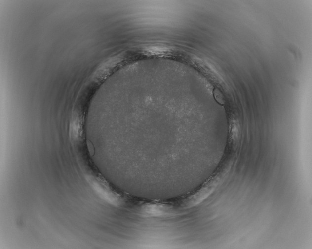 X0000111020408200907171859