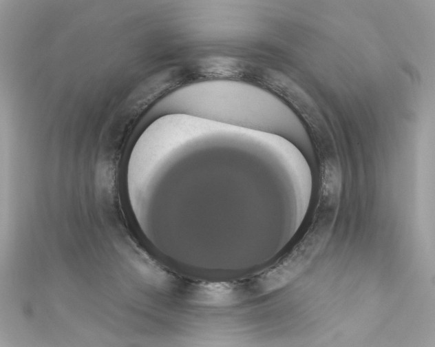 X0000111020409200907171859