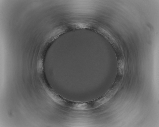 X0000111020410200907171859