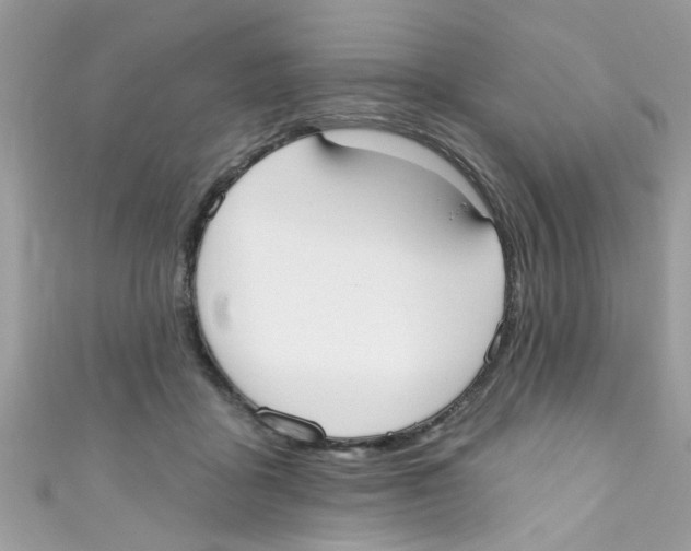 X0000111020411200907171859