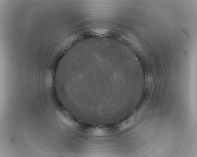 X0000111020412200907171859