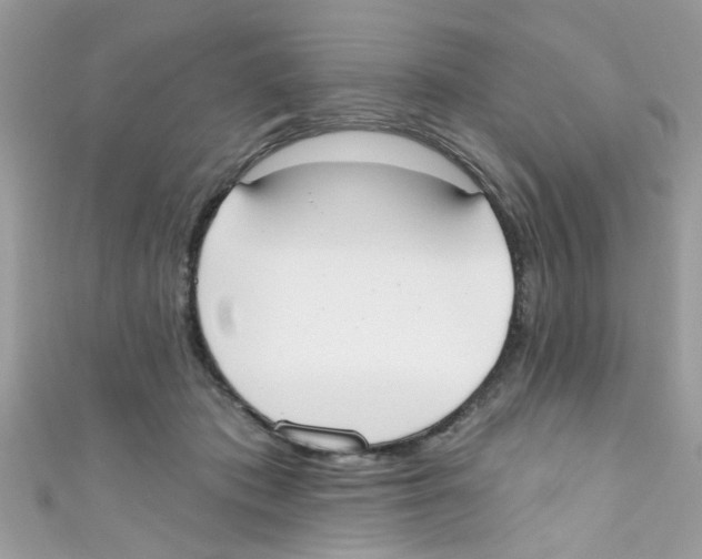 X0000111020413200907171859