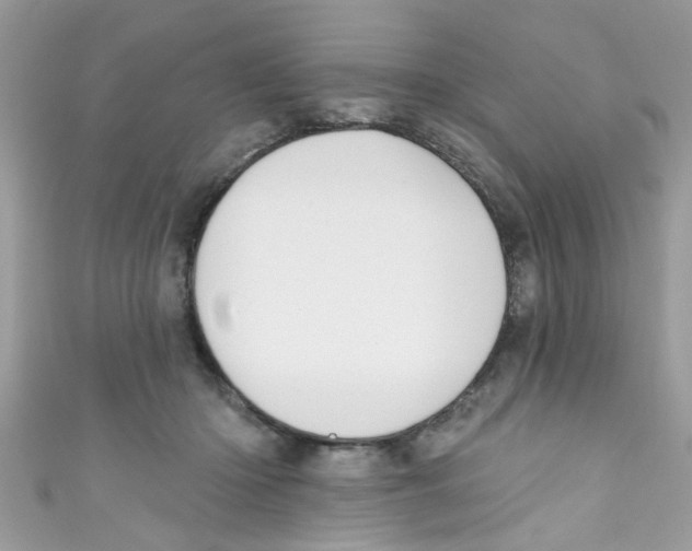 X0000111020414200907171859