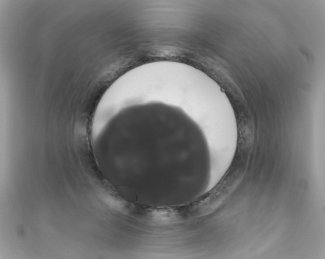 X0000111020415200907171859