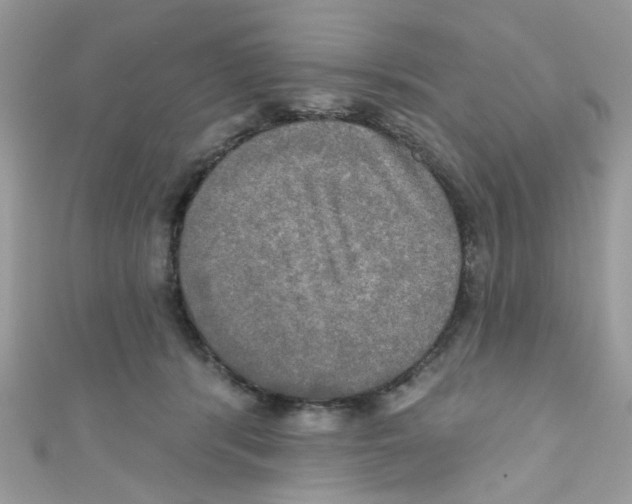 X0000111020416200907171859