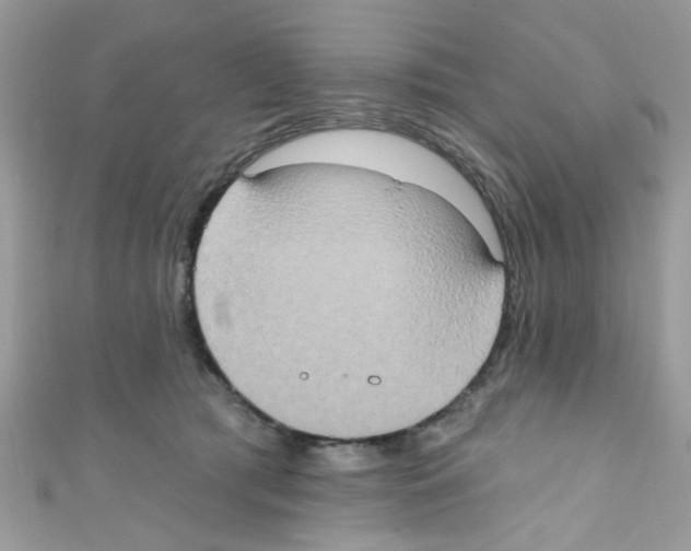 X0000111020417200907171859