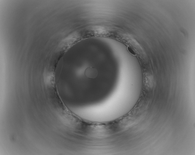 X0000111020419200907171859