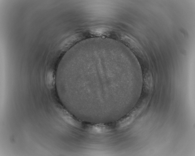 X0000111020420200907171859