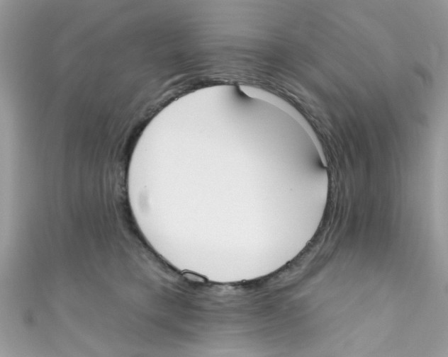 X0000111020421200907171859
