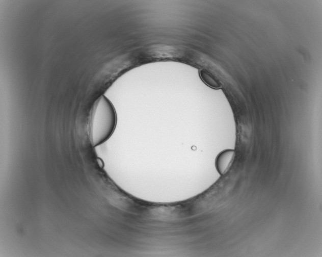 X0000111020422200907171859