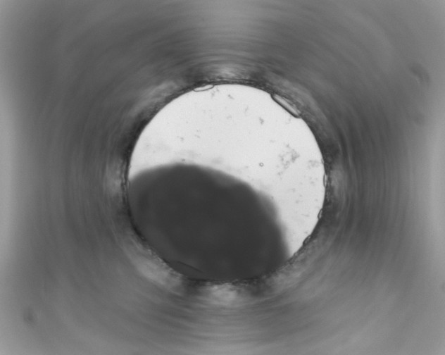 X0000111020423200907171859