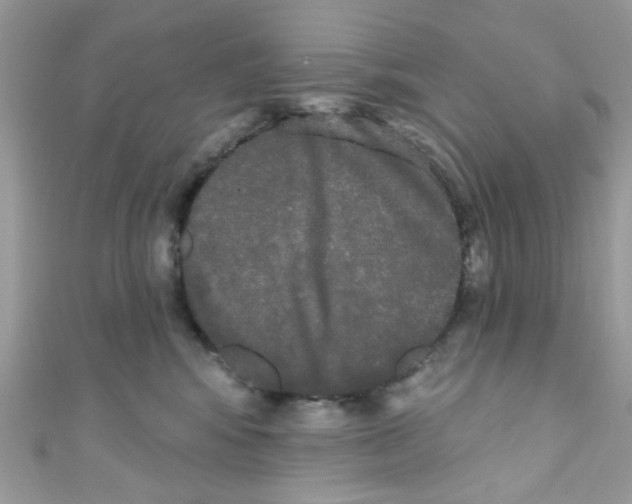 X0000111020424200907171859