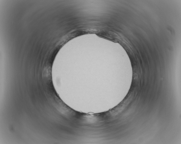 X0000111020425200907171859