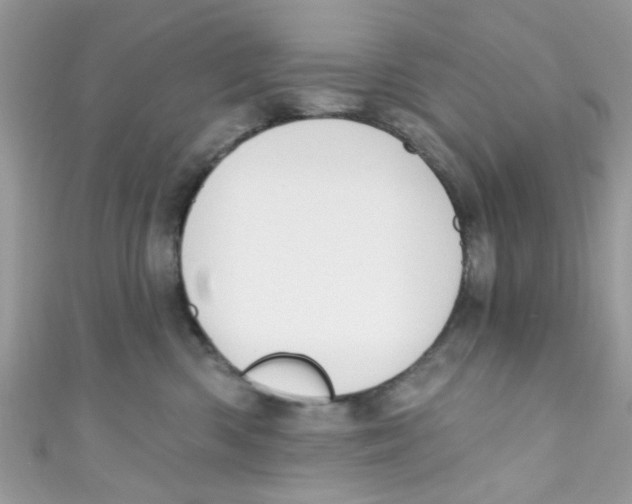 X0000111020426200907171859