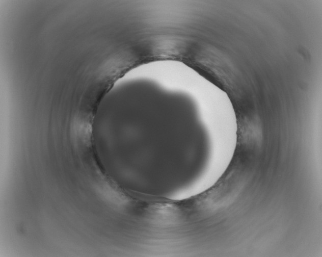 X0000111020427200907171859