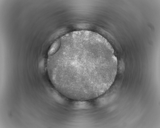 X0000111020428200907171859