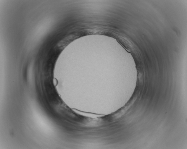 X0000111020429200907171859